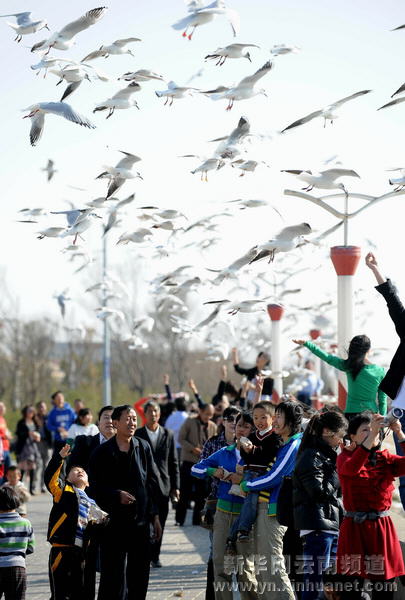 春节黄金周云南共接待游客520多万人次