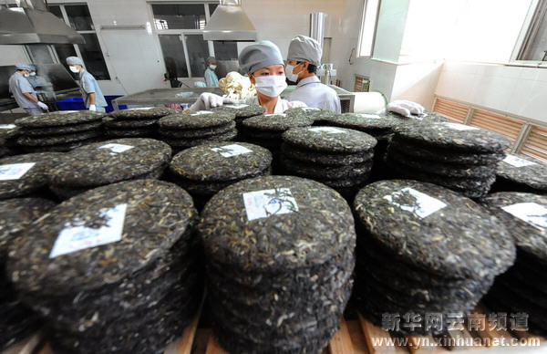 勐海普洱茶产量大幅提升