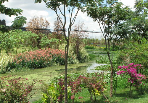 云南抚仙湖环境保护的新境界