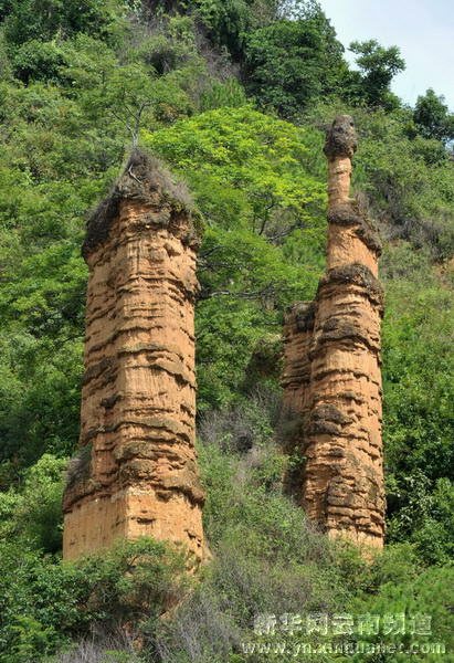 旅游胜地“土佛林”
