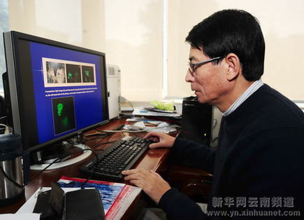 中国科学家在昆明成功培育出国内首例转基因猕猴