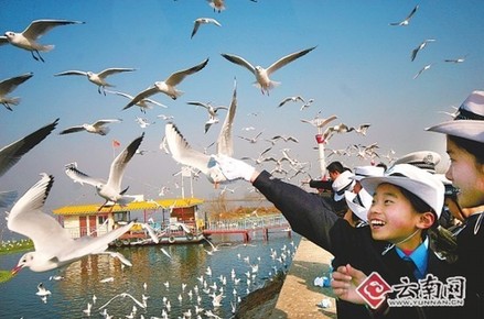 昆明捧回“2010中国最具幸福感城市”金奖