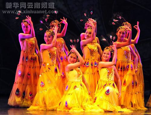 云南艺术家惊艳“中美友好之夜”晚会