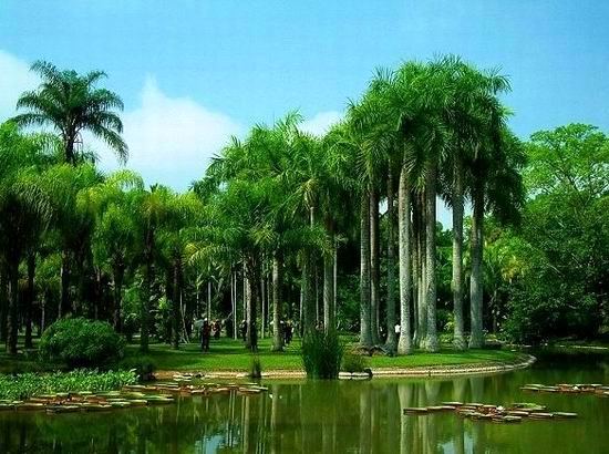 春节：游不一样的云南　体验别样民族风情（图）