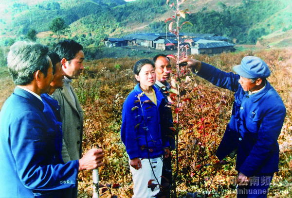 一个共产党人的一辈子——保山原地委书记杨善洲