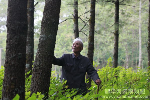 一个共产党人的一辈子——保山原地委书记杨善洲