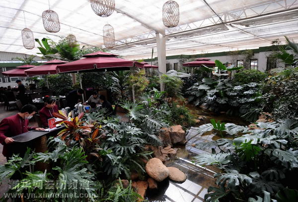 新春农家乐+假日好休闲