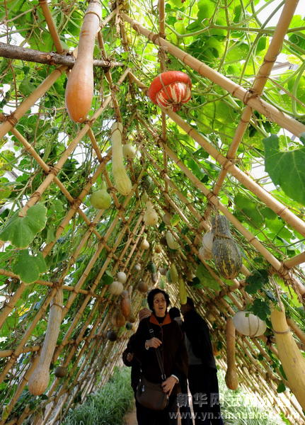 新春农家乐 假日好休闲