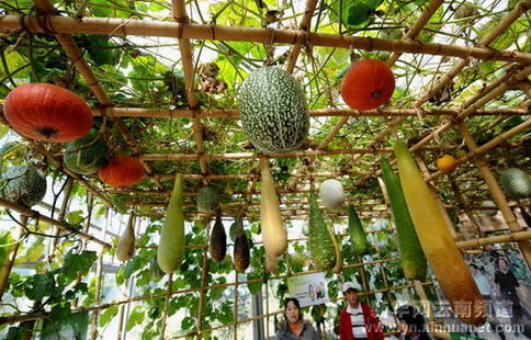 新春农家乐 假日好休闲