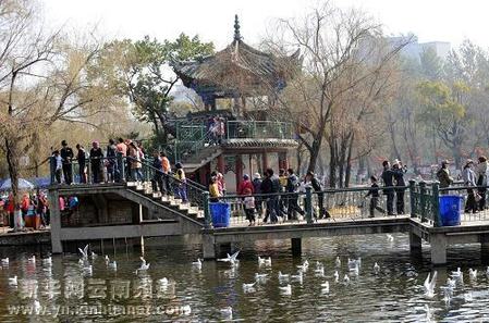 昆明春光明媚好休闲