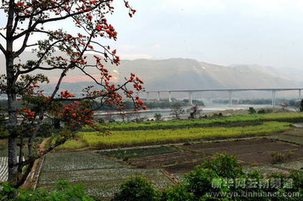 春到潞江坝