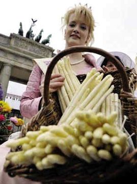 2011上班族年假大计划 让旅行再幸福一点