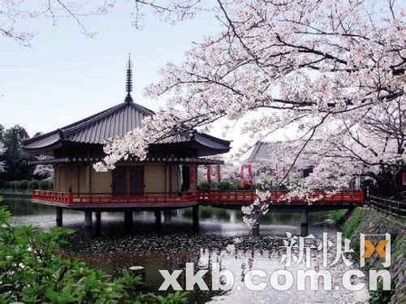 2011上班族年假大计划 让旅行再幸福一点