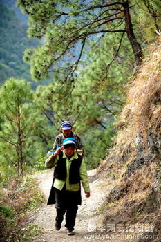 雄奇壮美的怒江丙中洛茶马古道[组图]