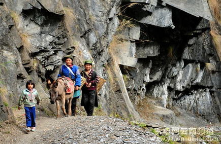 雄奇壮美的怒江丙中洛茶马古道[组图]