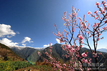 怒江之春[组图]