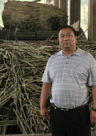 收获甜蜜的事业--记镇康县中缅边境替代种植