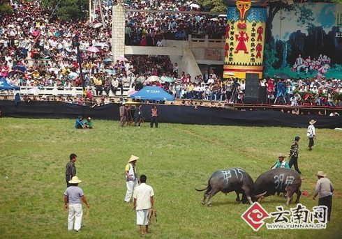 石林15万人火把节狂欢