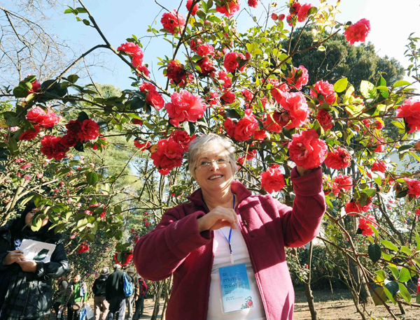 国际茶花协会代表参观昆明植物茶花园