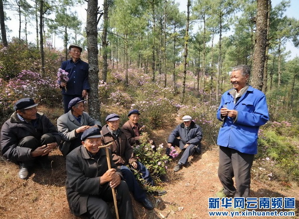 “陆良八老”艰辛造林30年目前生活困难调查