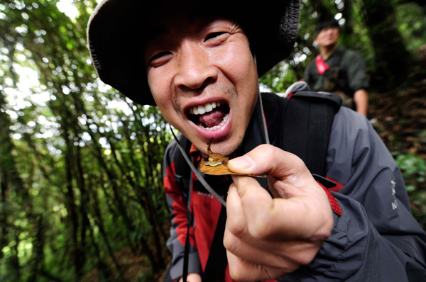 影像在天地 至乐寄山林:体验中国野生动物摄影训练营