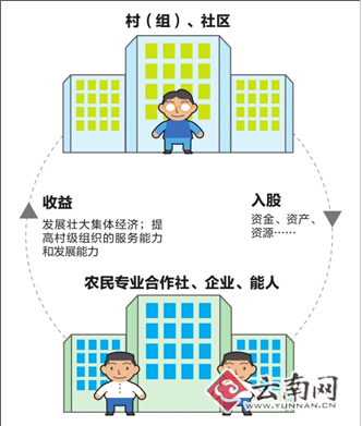 云南省1468个村（组）开展强基惠农“合作股份”工作