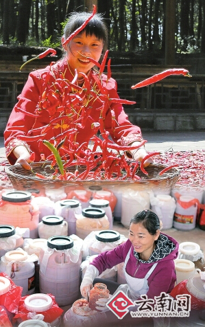 云南省1468个村（组）开展强基惠农“合作股份”工作