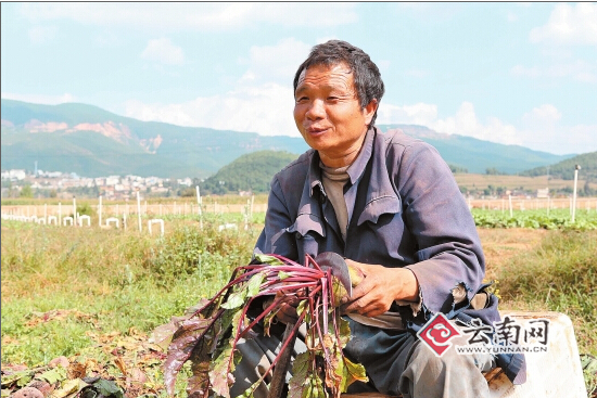云南省1468个村（组）开展强基惠农“合作股份”工作