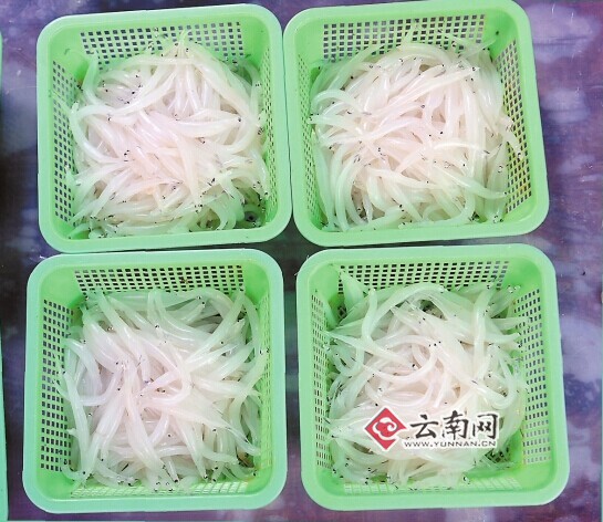滇池开湖半个月　所有检测项目符合国家标准