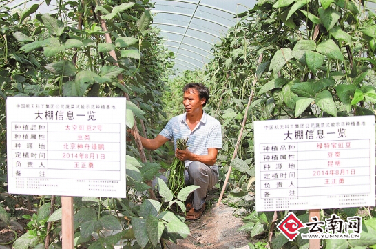 昆明东川打造航天科工特色蔬菜品牌 去东川吃太空菜