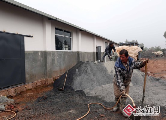 建好牛棚坐等牛入圈 云南新平县新甸村牛养殖项目即将投产