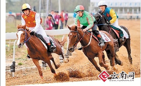 第二届大西南马术邀请赛落幕 骑手马儿皆帅气