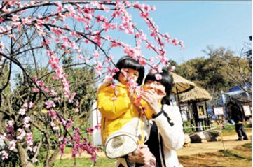 昆明将现超大“植物王国”观赏园