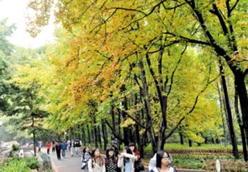 昆明将现超大“植物王国”观赏园