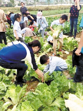 昆明首家亲子农事体验馆开业1个多月人气旺