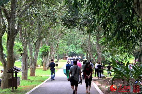 中国最大植物园初冬时节树木葱郁 花红似火【高清组图】