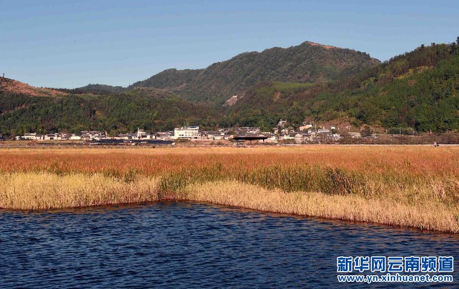 草丰水美的云南北海湿地