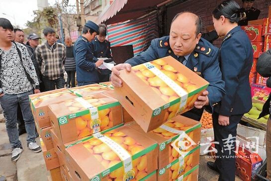 昆明出现外省回流褚橙 一箱60元全是冒牌货