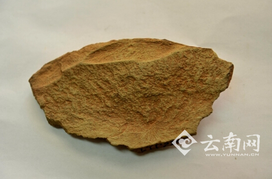 玉龙雪山现阿舍利手斧 旧石器时代的“高科技”