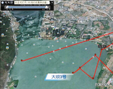红嘴鸥GPS最新回传数据显示 “大坝四号”失联