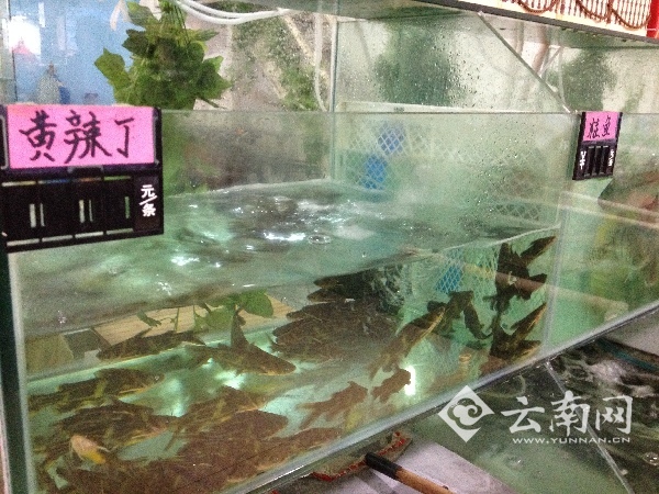昆明开启“严寒模式” 海鲜价格未受天气影响 部分蔬菜涨价