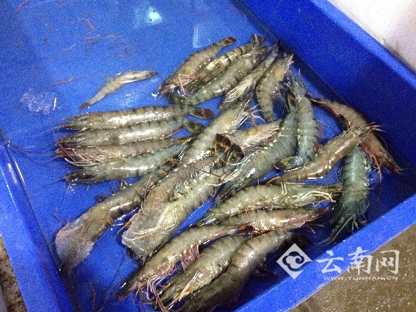 昆明开启“严寒模式” 海鲜价格未受天气影响 部分蔬菜涨价