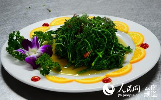 辣木有望成为新派滇菜特色品牌菜品（图）
