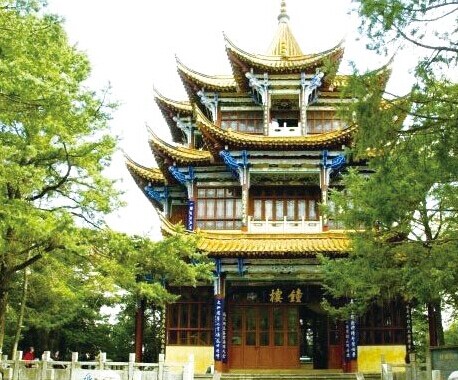 赏花看灯观海鸥 昆明元旦10大公园玩场多