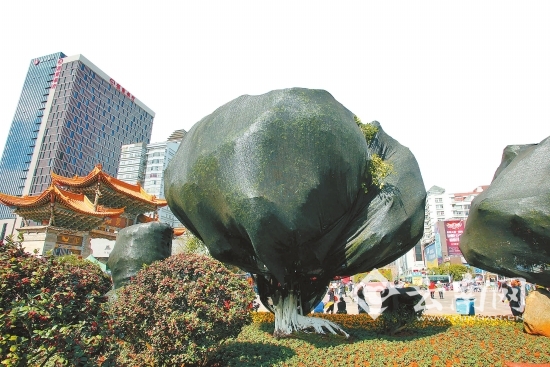 9日云南多地将迎今年首场雪 昆明城内难见雪景