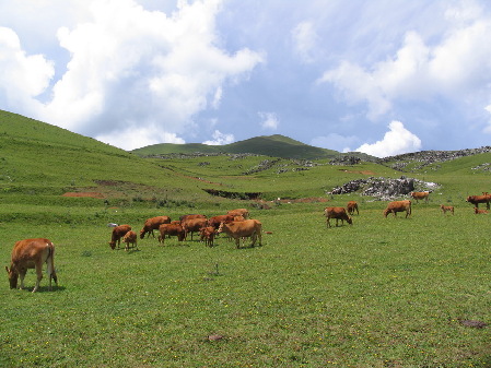 昆明东川惊现旅游处女地