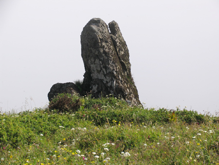 牯牛雄峰依旧山花烂漫