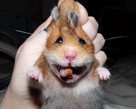 云南大学出国留学培训基地招生 可节省10到40