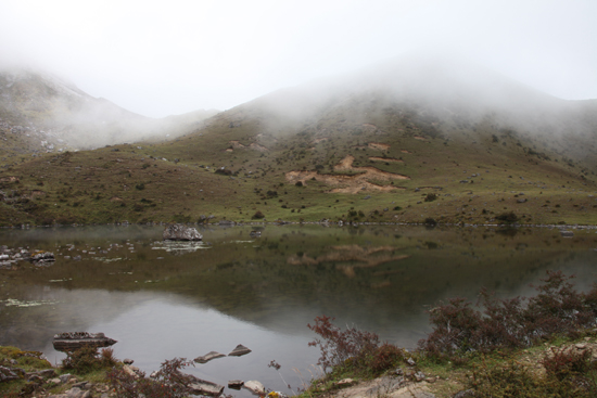 到轿子山牯牛寨野牛观赏景