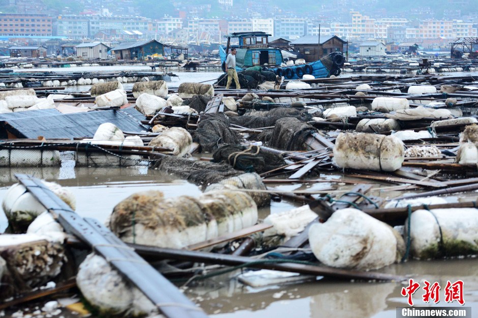 2013第九届昆明泛亚国际农业博览会明日开展